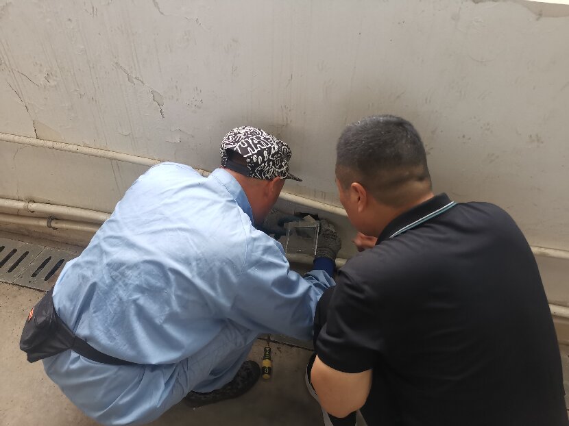 QQ圖片20250627160315